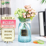 吕姆克玻璃花瓶满天星插花瓶干花仿真花小雏菊花瓶客厅装饰摆件蓝色5159