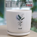 裕轩堂纯白色新款陶瓷花盆室内简约个性带托盘绿萝吊兰蝴蝶兰多肉盆桌面 7249472 中号口径约14厘米