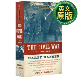 美国内战历史 英文原版 The Civil War: A History