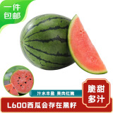 京鲜生手剥小西瓜 2-3粒装 净重6-7斤 生鲜水果 源头直发