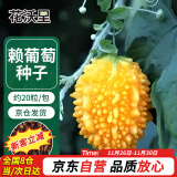 花沃里赖葡萄约20粒/包 蔬菜种子水果盆栽阳台种菜土四季菜籽阳台庭院种