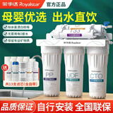 荣事达（Royalstar） 净水器家用直饮厨房自来水水龙头前置过滤器超滤滤芯净水机 经典标配款【1套滤芯+送8支PP棉】-自行安装
