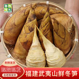 京鲜生福建武夷山冬笋新鲜现挖净重3斤单果100g+源头直发
