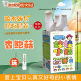 iosn蘑菇种植包儿童种植蘑菇小盆栽学校桌面趣味神奇植物家庭菌菇菌包 【礼盒装】杏鲍菇-送喷壶 【儿童趣味丨轻松养活丨可食用】