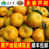 万春寨正宗永春芦柑5斤/10斤礼盒装新鲜现摘橘子柑桔 桔子当季水果大果 【优选大果】果径75mm礼盒（净重4.5斤）5斤装