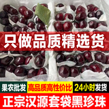 土地母亲计划 四川汉源车厘子黑珍珠套袋精品果大樱桃车厘子新鲜水果礼盒送礼 3斤(净重)  精品套袋特大果 3J级