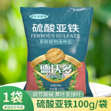 德沃多肥料（DEWODUOFEILIAO）硫酸亚铁花肥料酸性盆栽养花通用水溶颗粒肥栀子杜鹃氮磷钾叶面肥 硫酸亚铁100g