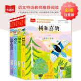 金波四季美文（4册）树和喜鹊+阳光+雨点儿+沙滩上的童话 童话故事注音版 课文作家作品 金波春夏秋冬美文 同名作品收入中小学语文教科书