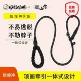 驭兽狗绳P绳链泰迪柯基柴犬边牧幼犬小中大型犬户外防爆冲遛狗牵引绳 【1.5米】黑色L 40-60斤