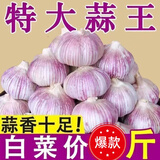 静益乐源山东紫皮蒜大蒜干大蒜蔬菜批发干蒜自种大蒜种子多瓣蒜当季蔬菜 1斤【中果】精品大蒜1斤 精选今年大蒜