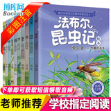 【现货包邮】法布尔昆虫记全套10册注音版绘本3-6岁一二三四年级课外书 儿童科普读物 昆虫记注音版