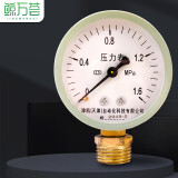 鲸万荟 压力表Y-60  指针式水压表油压表打压表试压表气泵表 地暖家用水压表 4分铜接头1.6mpa W889