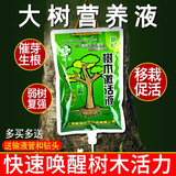 智绿树木营养液吊针液大树输液袋桂花树果树移栽生根剂激活液通用型 5袋+输液管+钻头