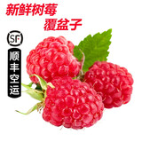 【顺丰航空】新鲜树莓 覆盆子 红树莓 新鲜水果  独立包装 红树莓2盒*120g/盒 树莓黑莓易坏，收到及时打开