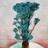 爱满 云南天然风干真花干花花束 客厅家具摆设小清新永生米花网红干花 湖蓝精灵