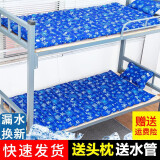 睿鹏 水床垫夏季学生宿舍降温水垫冰垫家用水袋凉垫水床垫大号双人充气注水床凉垫子 75*180CM深水滴+注水管+枕头x1+修补包