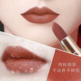 兰奕口红不沾杯不掉色防水持久保湿滋润素颜裸色显白减龄大牌女礼物 （兰奕507#）肉桂奶茶色+口红雨衣