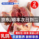 颐乡情农家新鲜宰杀鸽子肉鸽子 生鲜鸽子乳鸽老鸽子 煲汤孕妇滋补鸽子汤 散养乳鸽2只(净重8两1只)+料包+人参