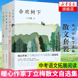 丁立梅经典作品全套 散文精选全集系列 可选 全套4册十亩间合欢树下只因相遇太美低到尘埃的美好