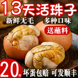 活珠子13天毛蛋山东新鲜鸡胚蛋钢化蛋真空包装开袋即食熟食带蘸料 活珠子 五香10枚+香辣10枚