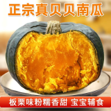 京喜加百万复购贝贝南瓜板栗味小南瓜正宗新鲜粉糯香甜单果100g起 贝贝南瓜 3斤 带箱小果