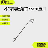 乐往不锈钢赶海夹75cm直口带锁多用途加长款龙虾钳螃蟹夹赶海工具