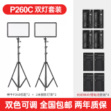 神牛（Godox） LED P260c摄影灯视频直播补光灯影视灯光单反摄像机相机摄像灯拍照婚庆常亮灯 LEDP260C双灯套装【含6600毫安电池套装】