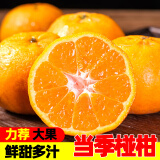 果果牛麻阳椪柑 桔子柑橘当季新鲜水果高山酸甜整箱 可选 5斤装中号(实惠)