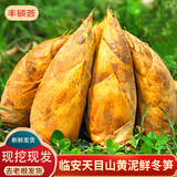 京地达正宗临安天目山现挖新鲜冬笋5斤装单果2-4两起笋子竹笋源头直发