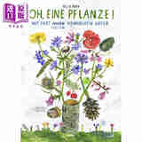 预售 【德文版】德语绘本 噢 植物 Felix Bork绘 科普幽默绘本 Oh eine Pflanze! 德语原版 百科