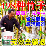 除竹子的药烂根粉环竹根连根烂灭竹王户外装备竹子专用药 发五瓶【2500ml五斤装】三瓶价格
