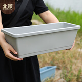 北蔬 霍伦盆长方形种菜种花盆带托加厚有韧性大花盆 灰白色霍伦盆1个