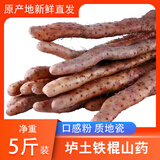补诱农家自种年货红皮铁棍山药5斤正宗河南焦作特产新鲜紫怀淮山铁杆 垆土多锈[40CM]（严选款）5斤 铁棍山药