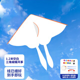 泰芬乐（BIG TAYLOR）风筝儿童空白手工diy绘画潍坊户外玩具风筝1-3-6岁六一儿童节礼物