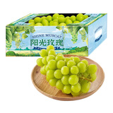 阳光玫瑰青提（2-3串）1.5kg