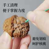 星恒梦文玩钢丝刷子打磨除锈不锈钢加密抛光刷金刚菩提核桃打底清理工具 手捻钢丝工具刷盒装（10只装）