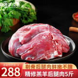 潮羊牧歌 宁夏滩羊肉 生鲜国产精修羔羊腿 新鲜羊肉卷羊肉串烧烤食材清真 5斤羊后腿去骨肉