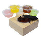 其他家甲虫果冻独角仙昆虫果冻台饲料毛象金龟子兜虫成虫天牛锹甲虫食物 混合口味 10个