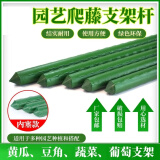 卫东包塑钢管支架杆家用植物花架子室外庭院架杆豆角黄瓜爬藤架番茄架 直径20mm长270cm【10支装】
