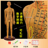 蓝蝶52 62CM人体针灸模型人经络穴位中医全身十二铜人模特图扎针练习小皮人超清晰刻字大字体人体模型 62CM铜色女软模（可扎针）大字体