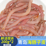 鱼姐海成青岛海肠鲜活沙虫当天现挖新鲜冷冻海肠皮海肠200g*2去头内脏