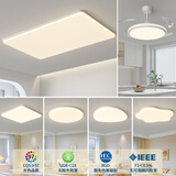 时光大师中山灯具2025款客厅卧室灯餐厅灯现代简约全屋套餐智能APP吸顶灯 餐厅带风扇4室2厅已接入米家APP