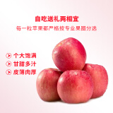 京鲜生烟台红富士苹果12个 净重2.1kg单果160-190g 新年礼盒