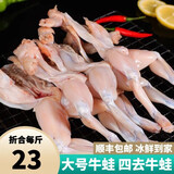 喜鲜德新鲜鲜活 四去大牛蛙 无冰净重 新鲜大蛙肉 带薄衣 四去牛蛙8斤装10-15只