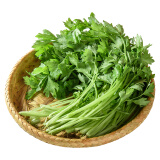 【富硒】香芹苗200g