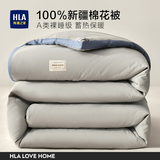 海澜之家（HLA）被子冬被纯棉被子被芯垫加厚保暖单人学生被子宿舍冬季新疆棉花被 【100%新疆棉填充】银光灰-蓝边 150*200cm约5斤冬被