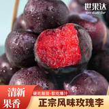 世果达正宗风味玫瑰李子红心黑布林胭脂蜜李恐龙蛋湖北河南水果特产 2斤玫瑰李【中小果20-30g】