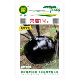 京研叶菜瓜果蔬菜种子特色西瓜生菜种籽农科院精选蔬菜孑大棚家庭园艺 圆茄子京茄1号50粒
