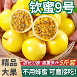 张小壮百香果 黄金果 广西钦蜜9号黄金百香果9号新鲜生鲜白香果水果 精选4.5-5斤约35-40个