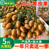 粤迎广东鸡心黄皮果【JD顺丰冷链】当季特产新鲜现摘现发孕妇可吃 鸡心黄皮果【酸甜多汁】 2斤精选果【当季尝鲜装】净1.8斤